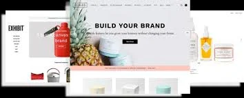 Essential Guides and Tips on Building E-Commerce Websites